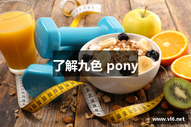 了解九色 pony